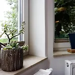 Vergissmeinnicht ホテル 3*