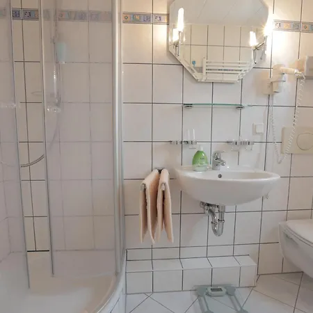 Vergissmeinnicht 3*