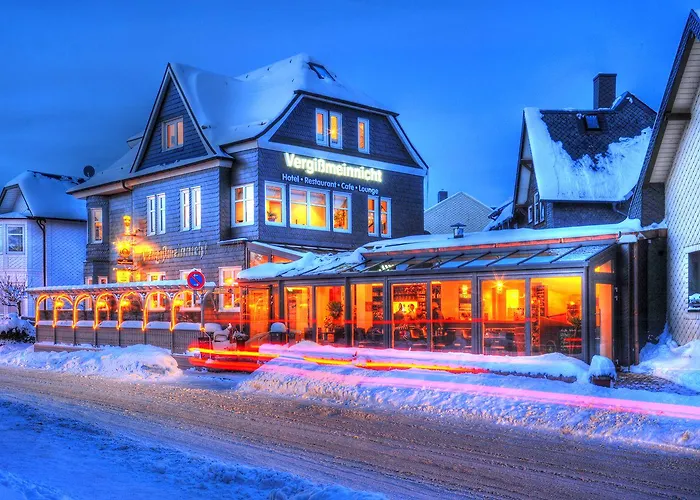 Vergissmeinnicht Otel 3*